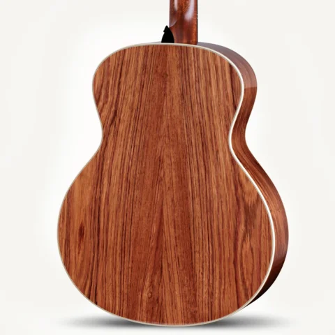 2024年の新アコースティックギター | Taylor Guitars